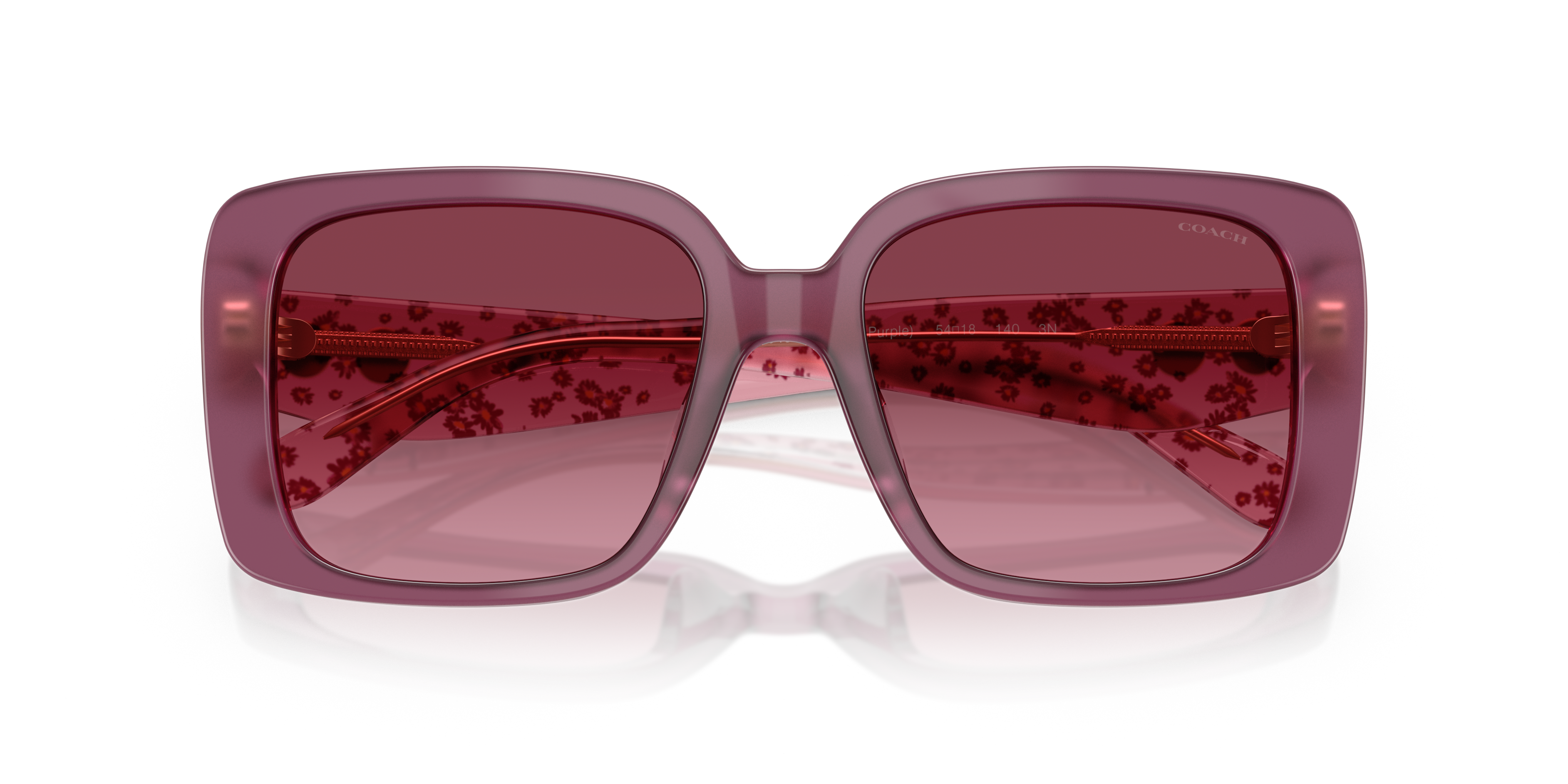 Coach HC8424U 59548H Cad54 